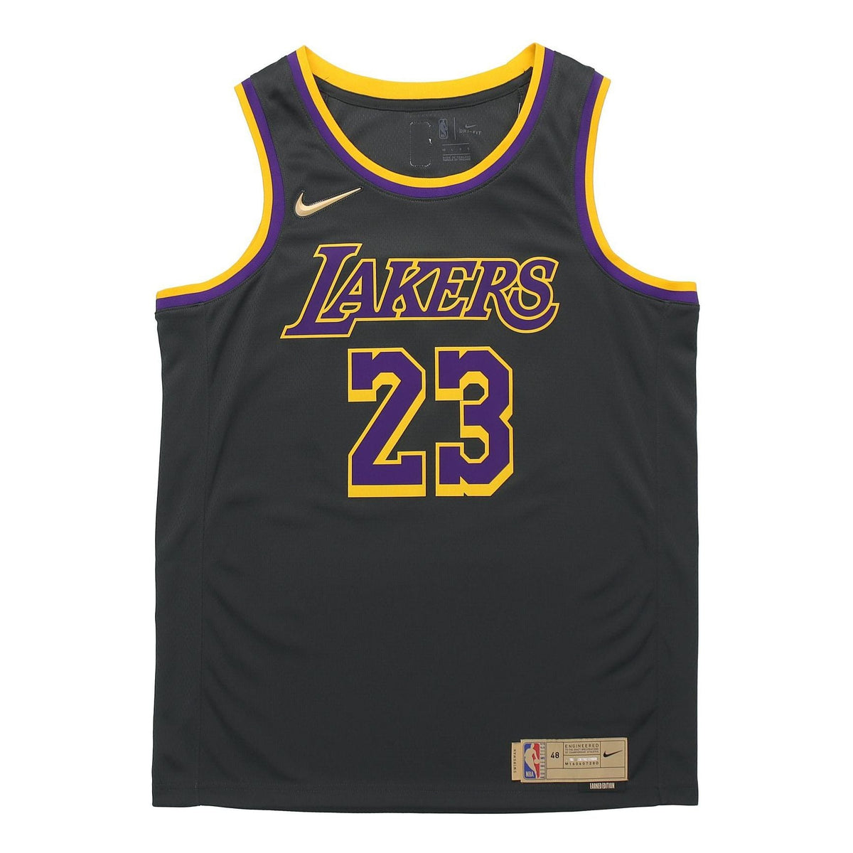 Nike NBA LeBron James Los Angeles Lakers 2020/21 Fan Edition Jersey #23 CN9929-013